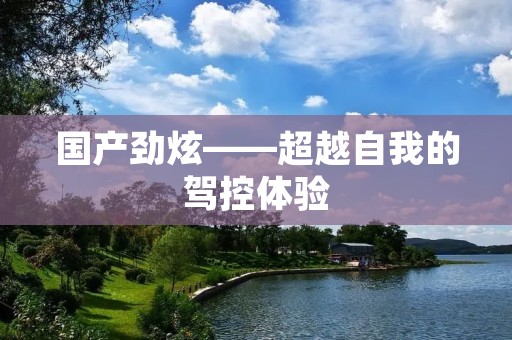 国产劲炫——超越自我的驾控体验 国产劲炫——超越自我的驾控体验