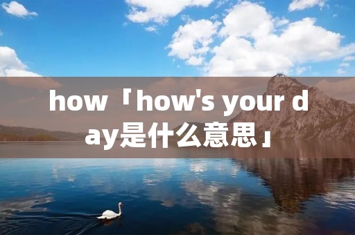 how「how's your day是什么意思」
