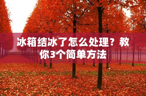冰箱结冰了怎么处理？教你3个简单方法