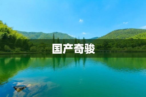 国产奇骏:以创新为核心的SUV之王 国产奇骏:以创新为核心的SUV之王