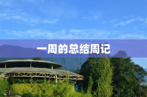 一周的总结周记