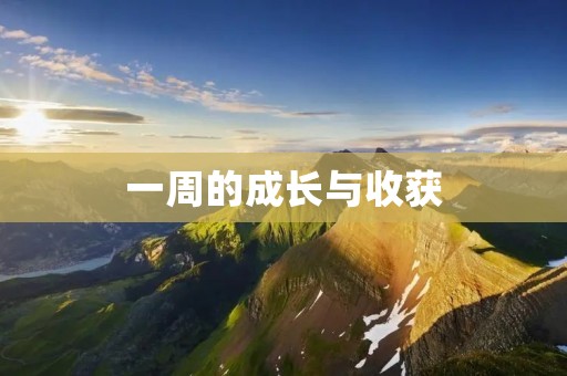 一周的成长与收获 一周的成长与收获