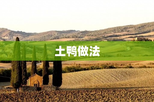 土鸭做法：如何做出美味可口的土鸭？