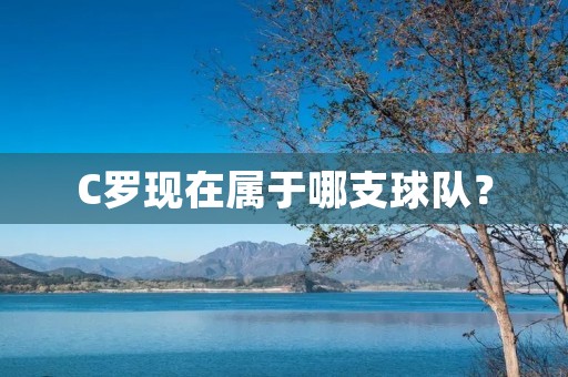 C罗现在属于哪支球队？