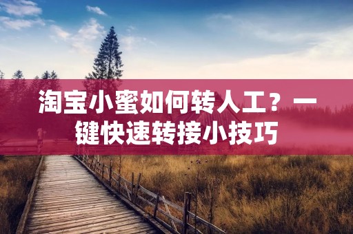 淘宝小蜜如何转人工？一键快速转接小技巧