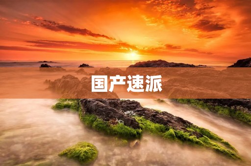 国产速派:中国汽车工业的新里程碑 国产速派:中国汽车工业的新里程碑
