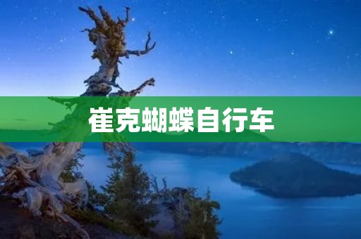 崔克蝴蝶自行车:性价比之王