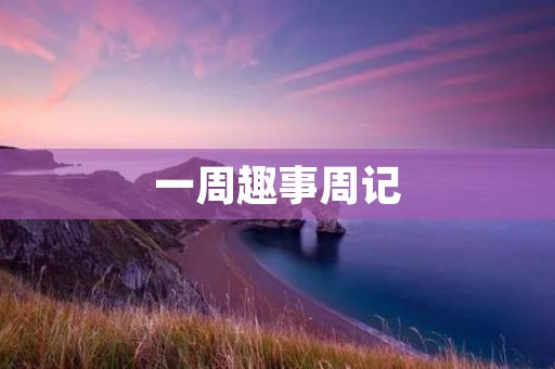 一周趣事周记：猫咪的小秘密