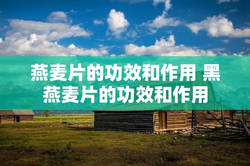 燕麦片的功效和作用 黑燕麦片的功效和作用