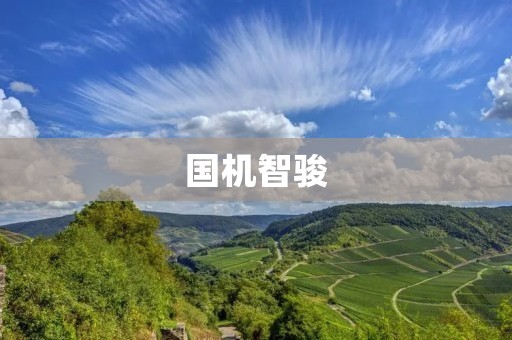 国机智骏:中国制造的高端智能机器人 国机智骏:中国制造的高端智能机器人