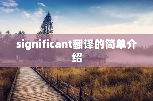 significant翻译的简单介绍