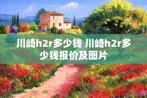 川崎h2r多少钱 川崎h2r多少钱报价及图片