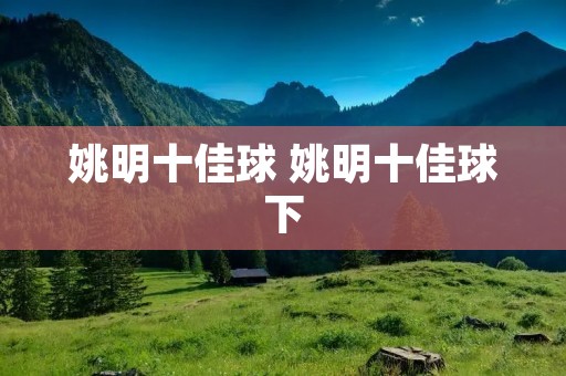 姚明十佳球 姚明十佳球下