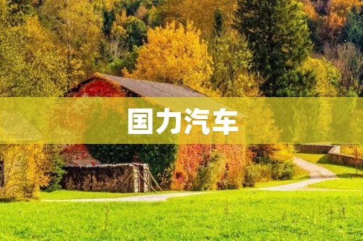 国力汽车:中国汽车行业的崛起 国力汽车:中国汽车行业的崛起