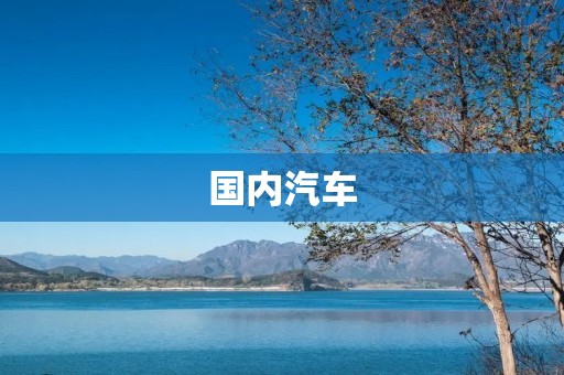 国内汽车：新时代的发展与挑战