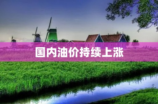 国内油价持续上涨:原因分析与应对措施 国内油价持续上涨:原因分析与应对措施