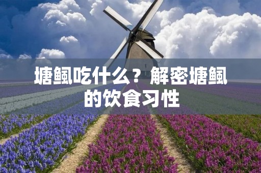 塘鲺吃什么?解密塘鲺的饮食习性 塘鲺吃什么?解密塘鲺的饮食习性
