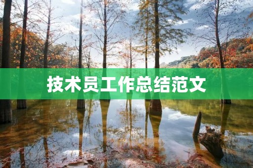 技术员工作总结范文