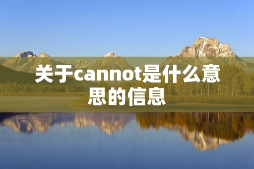 关于cannot是什么意思的信息 关于cannot是什么意思的信息