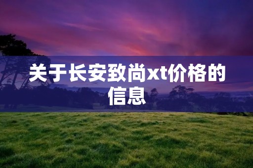 关于长安致尚xt价格的信息