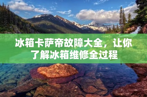 冰箱卡萨帝故障大全，让你了解冰箱维修全过程