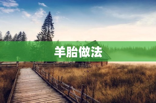 羊胎做法：传统美味的呈现