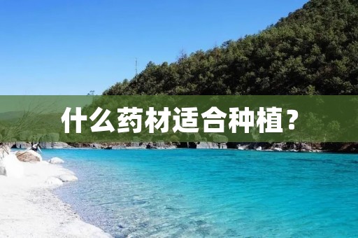 什么药材适合种植?