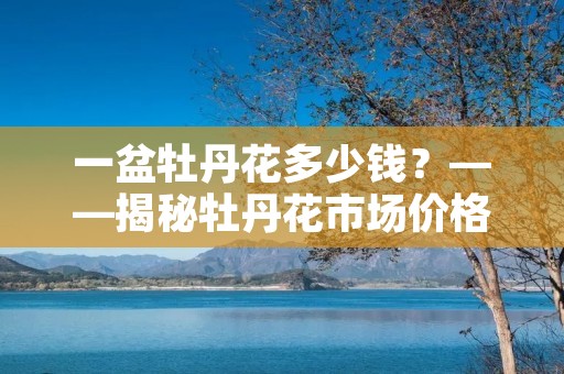一盆牡丹花多少钱?——揭秘牡丹花市场价格