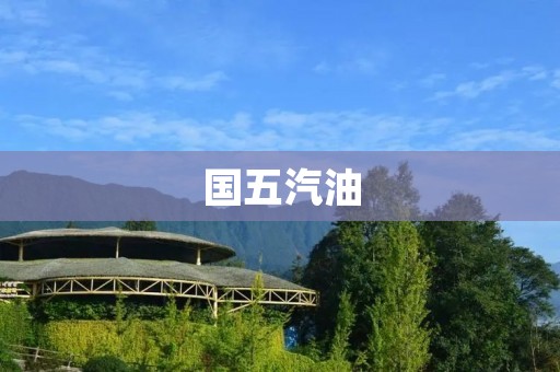 国五汽油:为环保保驾护航 国五汽油:为环保保驾护航
