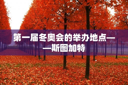 第一届冬奥会的举办地点——斯图加特
