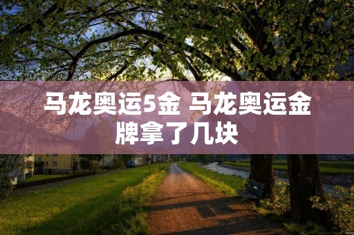 马龙奥运5金 马龙奥运金牌拿了几块