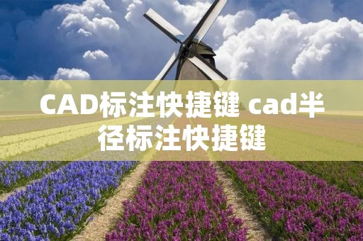 CAD标注快捷键 cad半径标注快捷键
