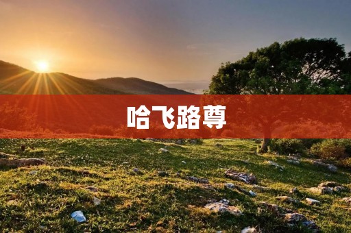 哈飞路尊:中国SUV领袖 哈飞路尊:中国SUV领袖