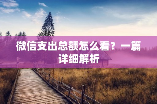 微信支出总额怎么看?一篇详细解析 微信支出总额怎么看?一篇详细解析