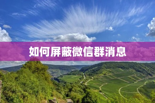 如何屏蔽微信群消息 如何屏蔽微信群消息