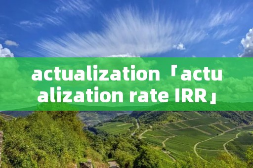 actualization「actualization rate IRR」