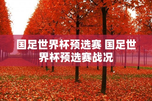 国足世界杯预选赛 国足世界杯预选赛战况 国足世界杯预选赛 国足世界杯预选赛战况