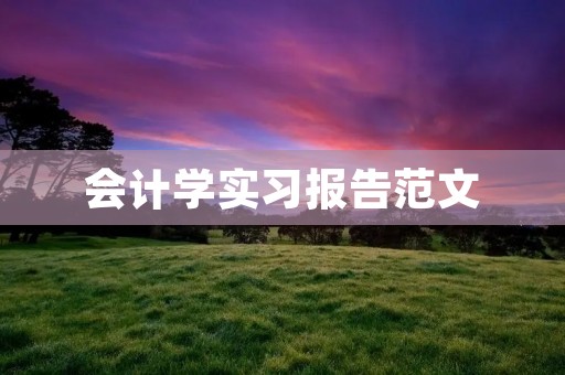 会计学实习报告范文:深入实践,开拓视野