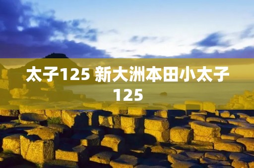 太子125 新大洲本田小太子125 太子125 新大洲本田小太子125