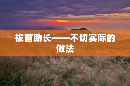 拔苗助长——不切实际的做法