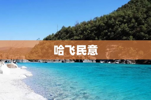 哈飞民意：从一个国民汽车品牌的崛起与衰落