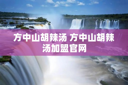 方中山胡辣汤 方中山胡辣汤加盟官网