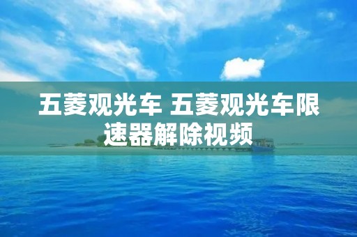 五菱观光车 五菱观光车限速器解除视频