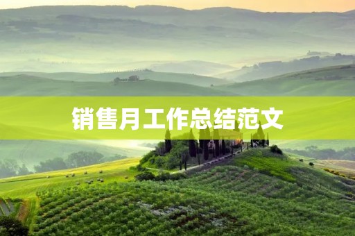 销售月工作总结范文:提高销售业绩的实践与思考
