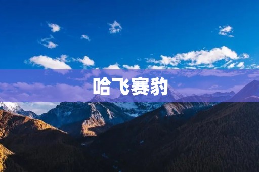 哈飞赛豹:中国汽车产业的一次尝试 哈飞赛豹:中国汽车产业的一次尝试