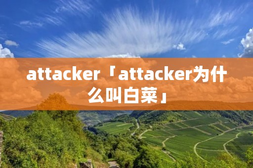 attacker「attacker为什么叫白菜」