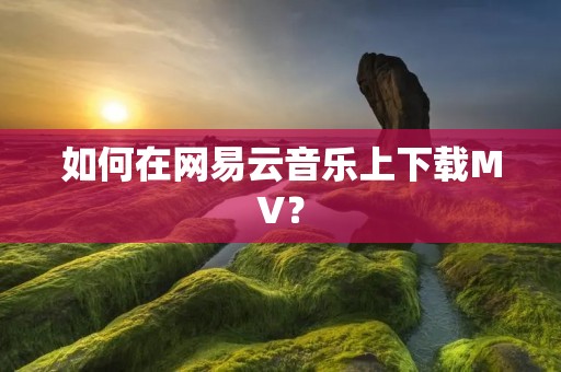 如何在网易云音乐上下载MV? 如何在网易云音乐上下载MV?
