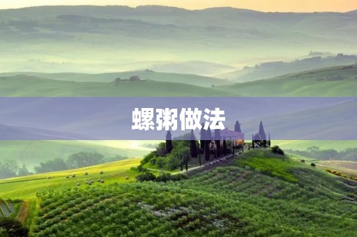 螺粥做法:传统美食的味蕾之旅 螺粥做法:传统美食的味蕾之旅