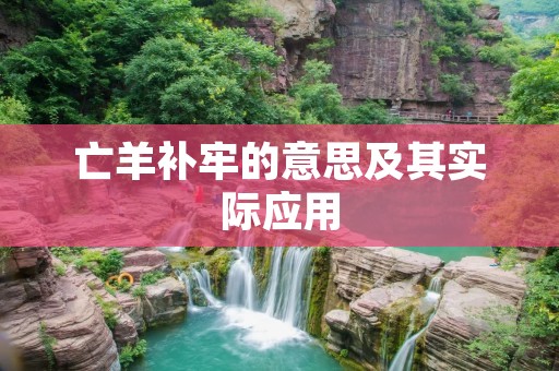 亡羊补牢的意思及其实际应用