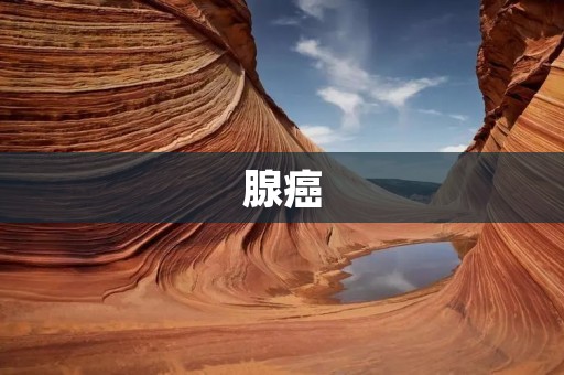 腺癌:了解这种常见癌症 腺癌:了解这种常见癌症